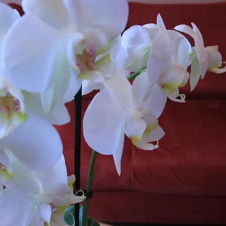 Pensionat Wein Und Gaestehaus Huels 3*