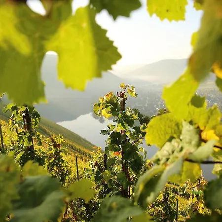 Pensión Wein Und Hüls
