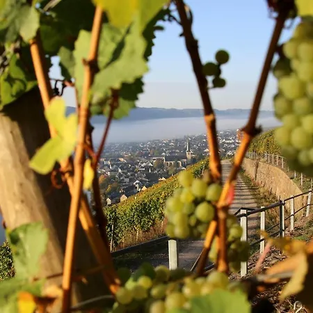 Pensión Wein Und Hüls