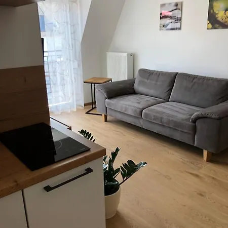 Wein Und Gaestehaus Huels Гостевой дом