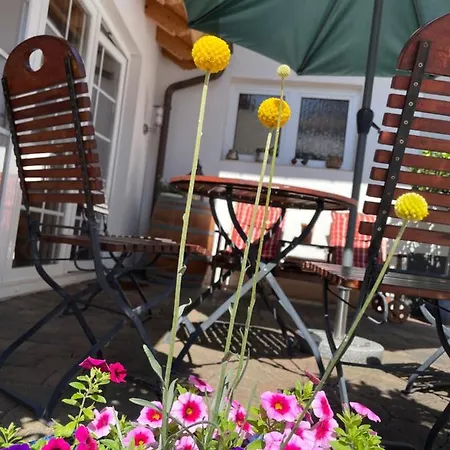 Wein Und Gaestehaus Huels Guest house *
