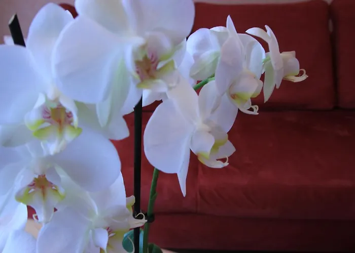 Pensionat Wein Und Gaestehaus Huels 3*