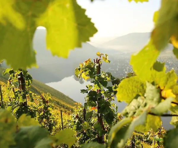 Pensionat Wein Und Gaestehaus Huels