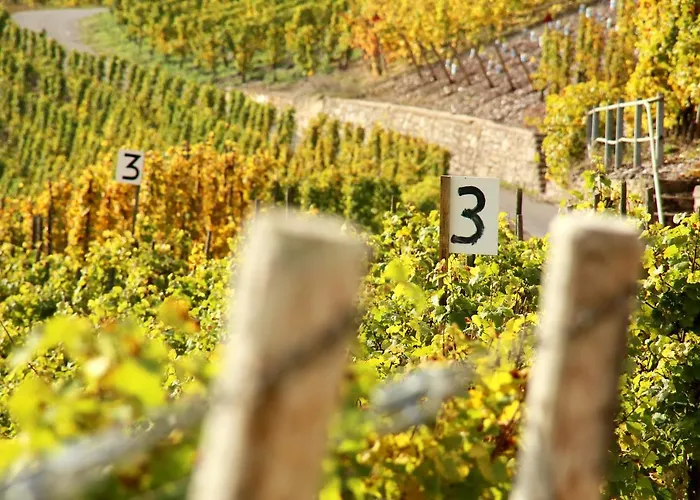 Wein Und Gaestehaus Huels