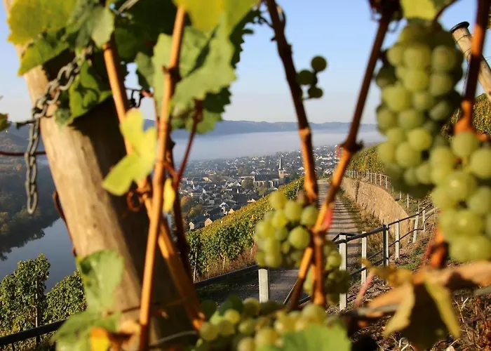 Pensionat Wein Und Gaestehaus Huels
